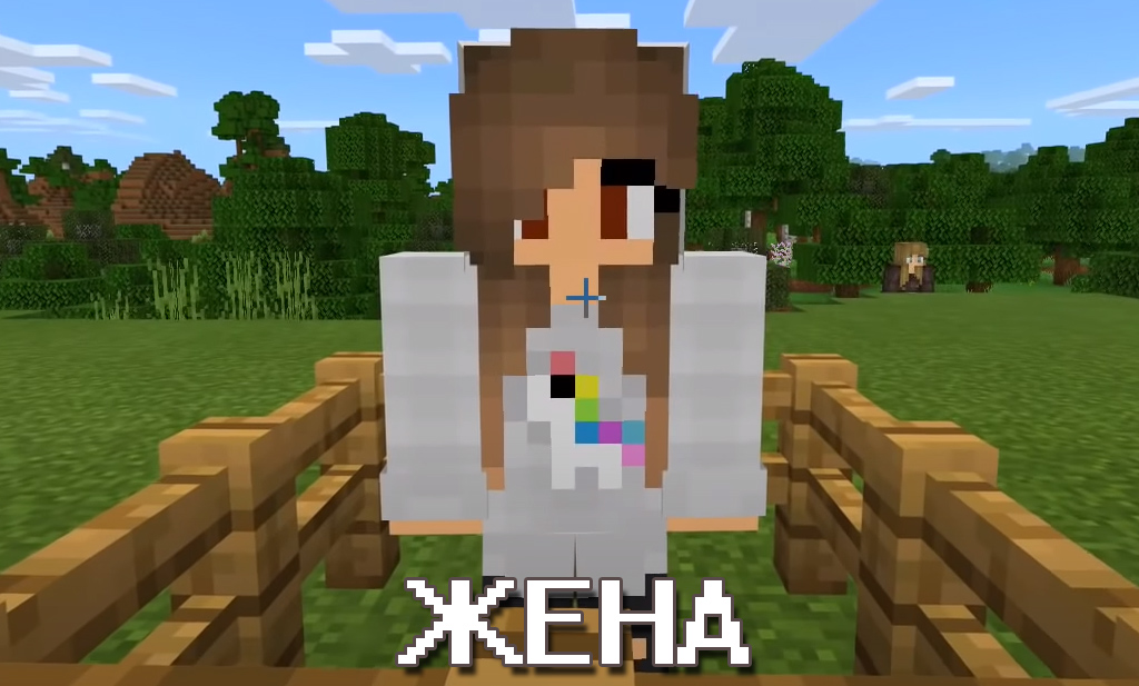 Жена Мод на жителей на Minecraft PE Жена Мод на жителей на Майнкрафт ПЕ