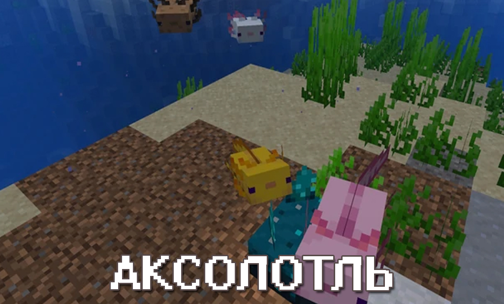 Аксолотль в Майнкрафт 1.16.221