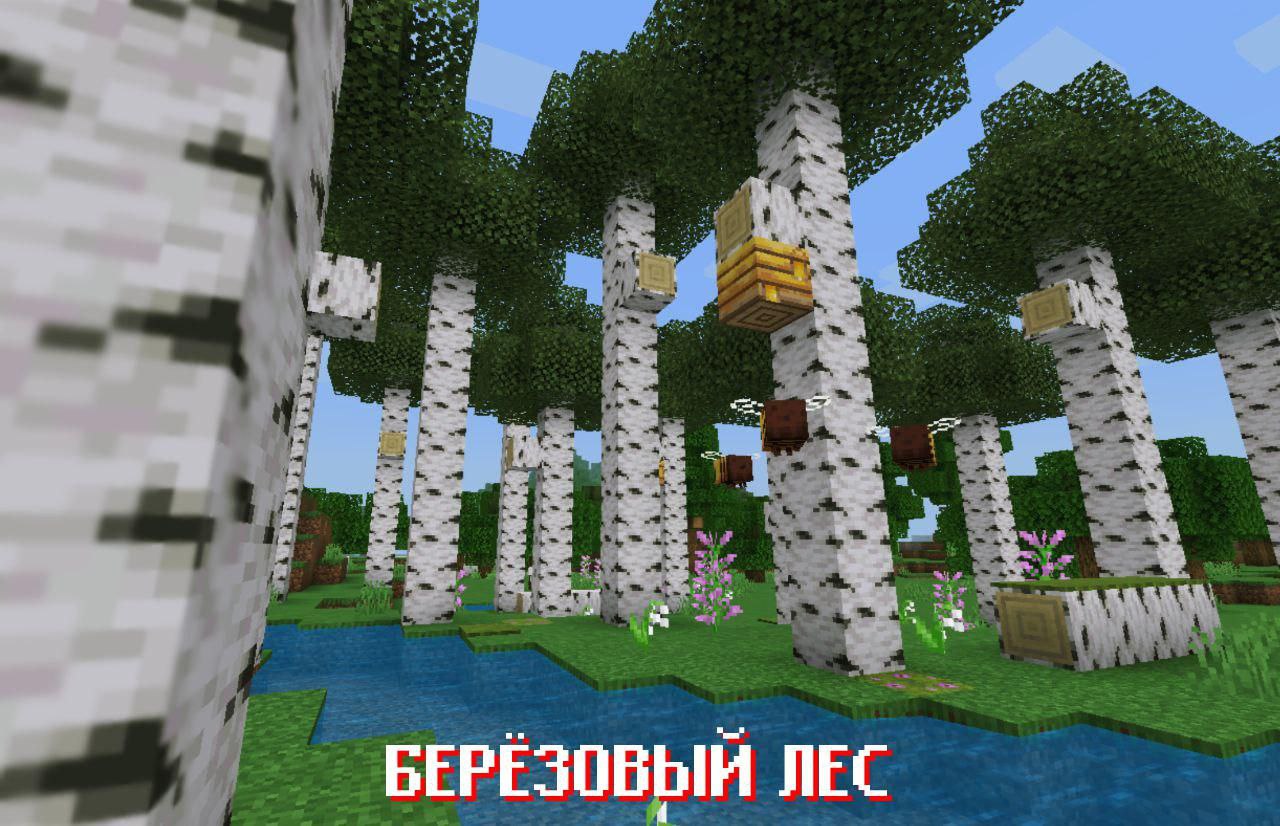 Березовый лес из Майнкрафт ПЕ 2.0