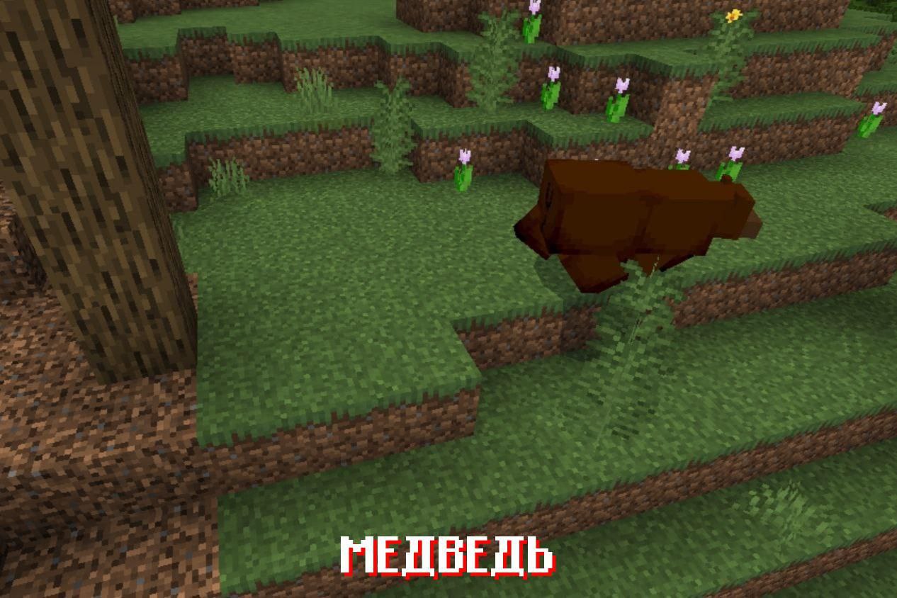 Медведь из Майнкрафт ПЕ 2.0