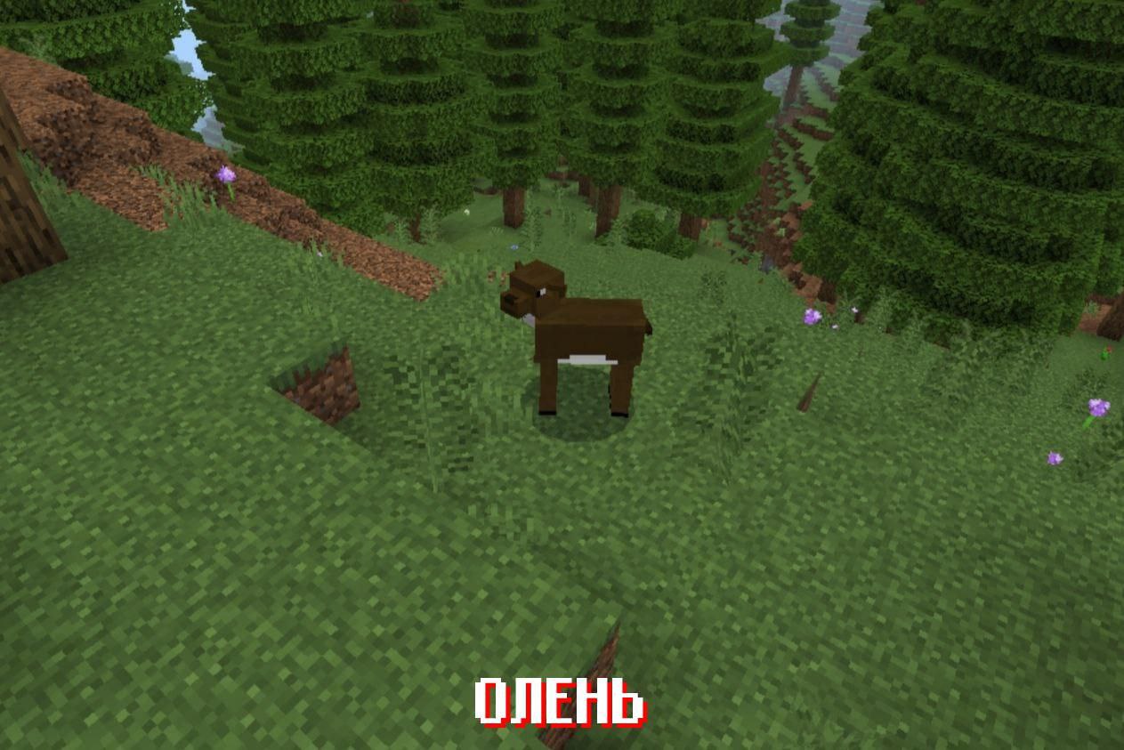 Олень из Майнкрафт ПЕ 2.0