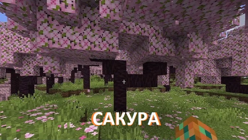 Сакура из Майнкрафт ПЕ 1.19.70.26