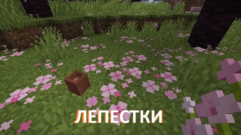 Лепестки из Майнкрафт ПЕ 1.19.73
