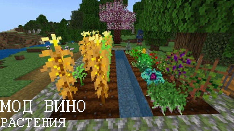 Скачать Мод на Вино для Minecraft PE
