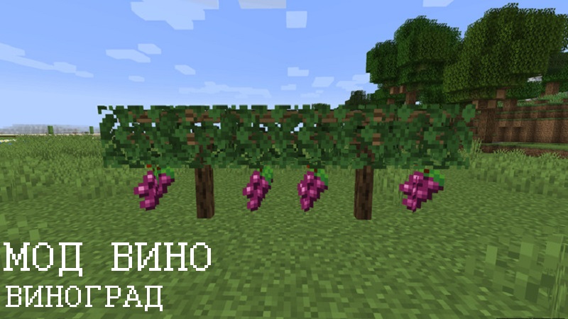 Скачать Мод на Вино для Minecraft PE