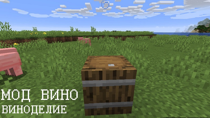 Скачать Мод на Вино для Minecraft PE