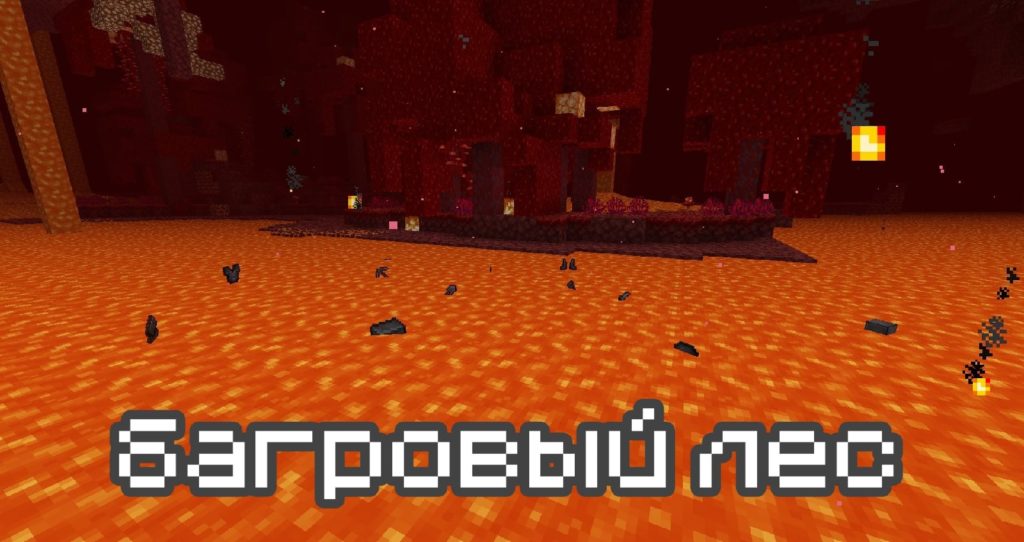 Багровый лес в Майнкрафт 1.16.230.56 и 1.16