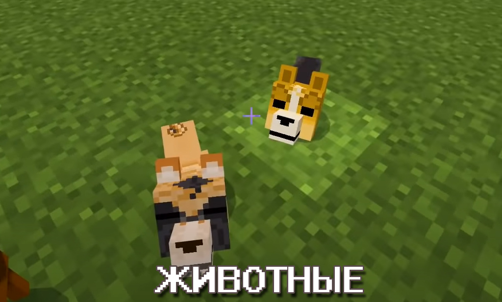 Животные Мод на жителей на Minecraft PE Животные Мод на жителей на Майнкрафт ПЕ