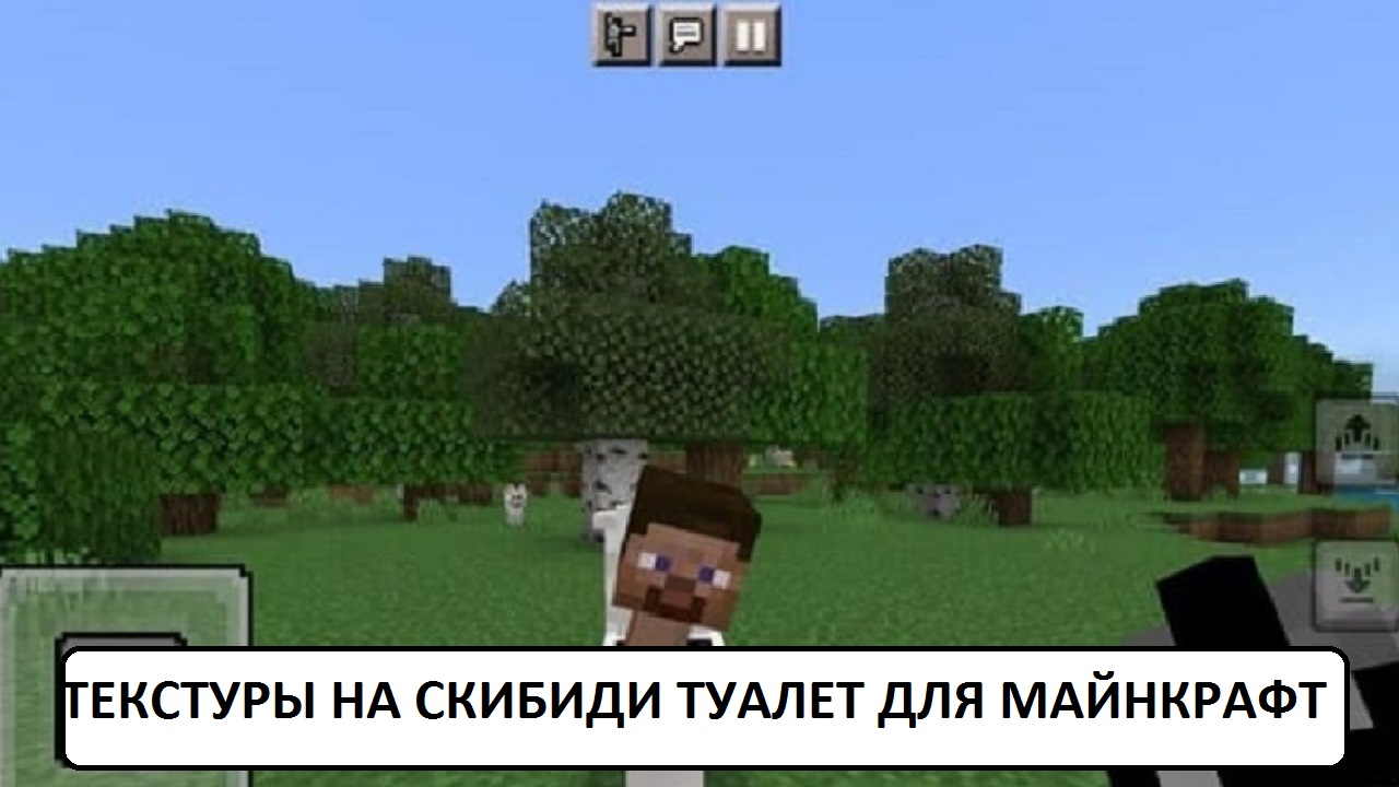 Текстуры на скибиди туалет в Майнкрафт ПЕ