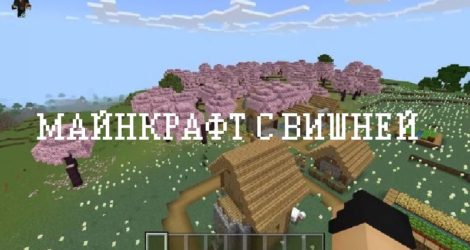 Майнкрафт с вишней
